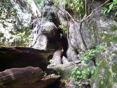 神内神社の自然