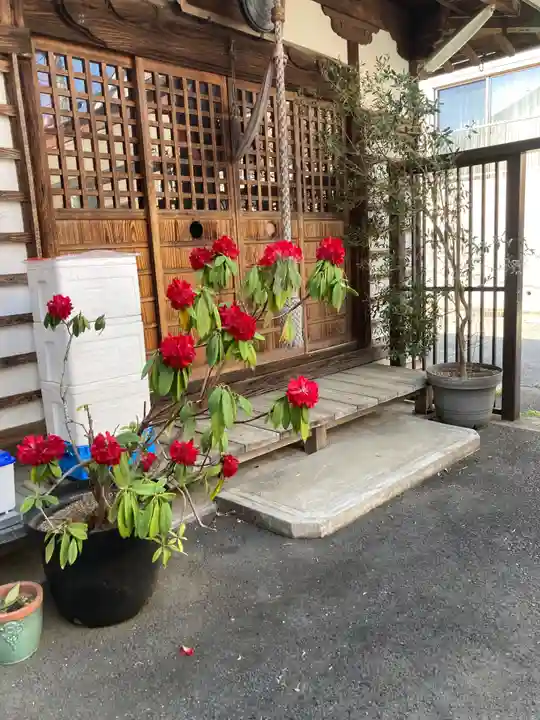 薬師堂(常保寺境外仏堂)(東京都)