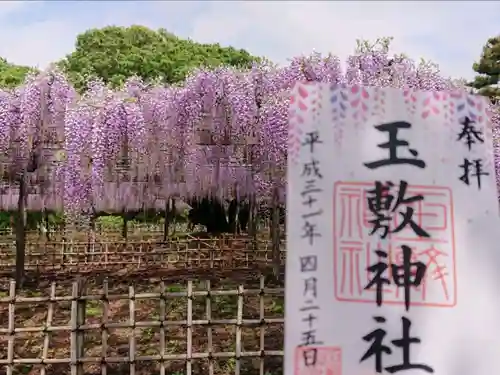 玉敷神社の庭園