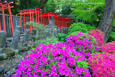 根津神社(東京都)