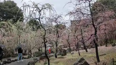 城南宮(京都府)