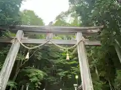 戸隠神社宝光社の鳥居