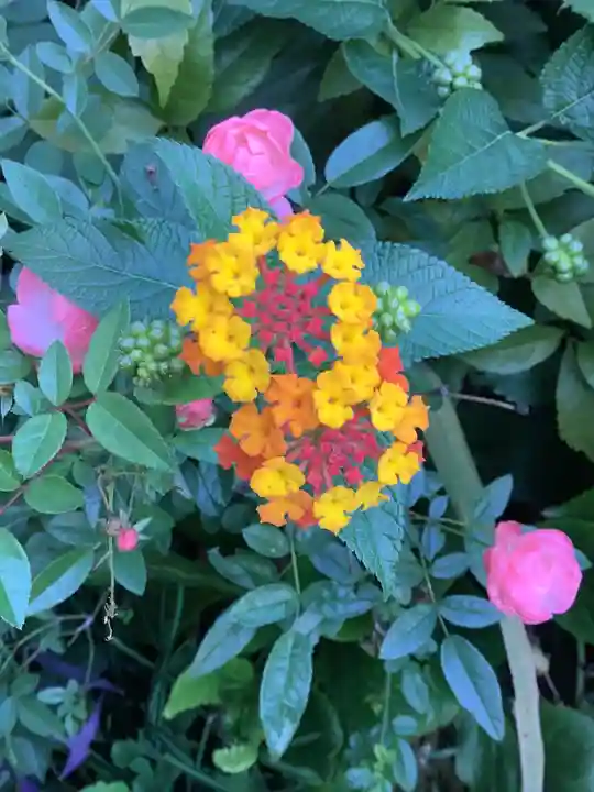 三輪神社(愛知県)
