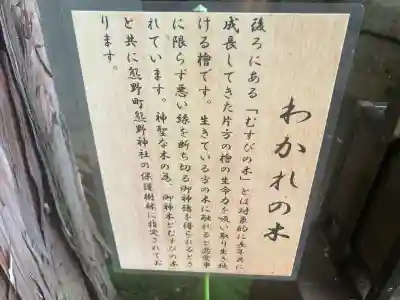 くまくま神社(導きの社 熊野町熊野神社)(東京都)