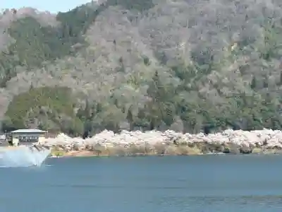 佐々井厳島神社の{uncategorized: "未分類", other: "その他", undefined: "問題あり", building: "その他建物", grave: "お墓", sacred_gate: "鳥居", guardian: "狛犬", statue: "像", buddha: "仏像", history: "歴史", nature: "自然", garden: "庭園", animal: "動物", pagoda: "塔", temizu: "手水舎", mountain_gate: "山門・神門", sanctuary: "本殿・本堂", subordinate: "末社・摂社", art: "芸術", scenery: "景色", jizo: "地蔵", ema: "絵馬", goshuin: "御朱印", omikuji: "おみくじ", items: "授与品その他", amulet: "お守り", goshuincho: "御朱印帳", eats: "食事", festival: "お祭り", votive_dance: "神楽", shichigosan: "七五三参", wedding: "結婚式", experience: "体験その他", initially: "初詣", around: "周辺", anti_infection: "感染症対策"}