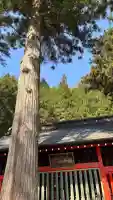 鎮神社の{uncategorized: "未分類", other: "その他", undefined: "問題あり", building: "その他建物", grave: "お墓", sacred_gate: "鳥居", guardian: "狛犬", statue: "像", buddha: "仏像", history: "歴史", nature: "自然", garden: "庭園", animal: "動物", pagoda: "塔", temizu: "手水舎", mountain_gate: "山門・神門", sanctuary: "本殿・本堂", subordinate: "末社・摂社", art: "芸術", scenery: "景色", jizo: "地蔵", ema: "絵馬", goshuin: "御朱印", omikuji: "おみくじ", items: "授与品その他", amulet: "お守り", goshuincho: "御朱印帳", eats: "食事", festival: "お祭り", votive_dance: "神楽", shichigosan: "七五三参", wedding: "結婚式", experience: "体験その他", initially: "初詣", around: "周辺", anti_infection: "感染症対策"}