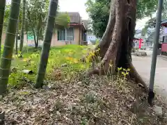 祓戸神社(鹿児島県)