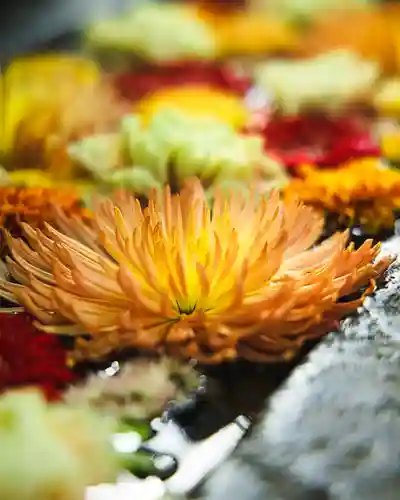 行田八幡神社(埼玉県)