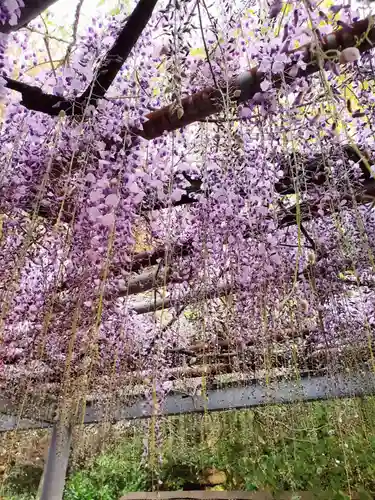 天満神社の自然