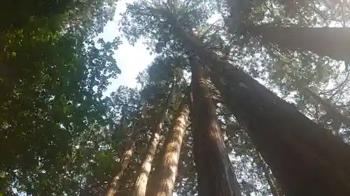 三峯神社(埼玉県)