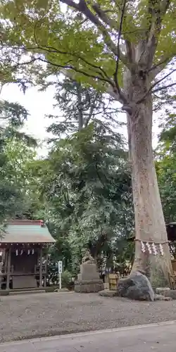 前鳥神社(神奈川県)