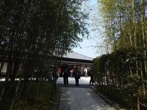 慈照寺（慈照禅寺・銀閣寺）のその他建物