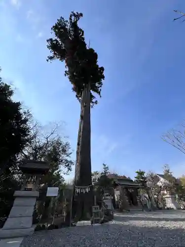 鶴峯八幡宮(千葉県)