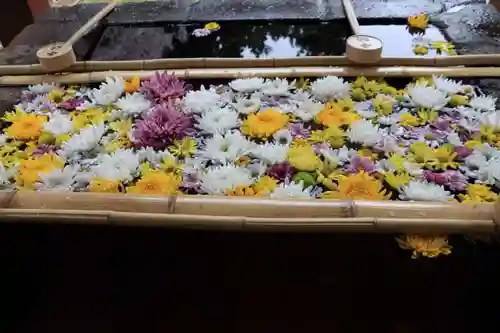 土津神社｜こどもと出世の神さまの手水舎