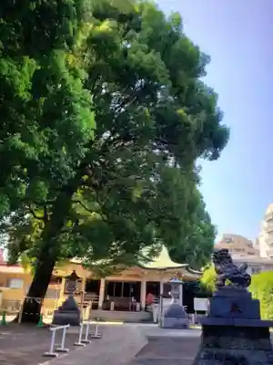 荻窪白山神社(東京都)