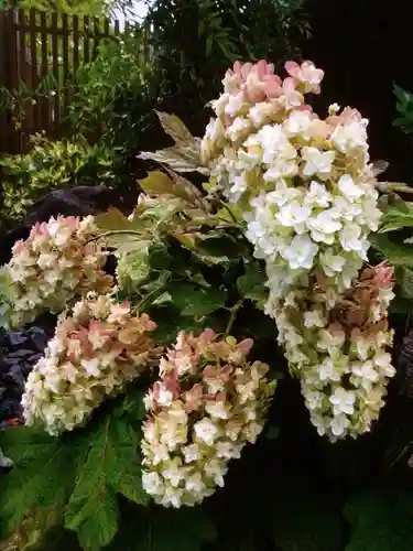 光明院(東京都)