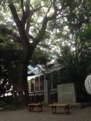 乃木神社のその他建物