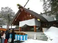 北海道神宮の初詣