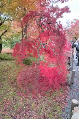 禅林寺(永観堂)(京都府)