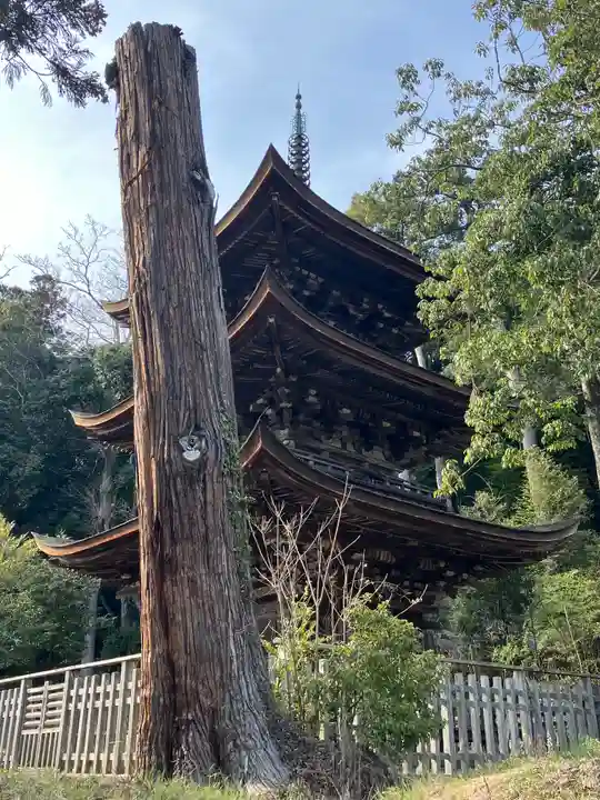 六條八幡宮(兵庫県)