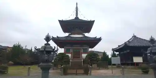 酒見寺の塔