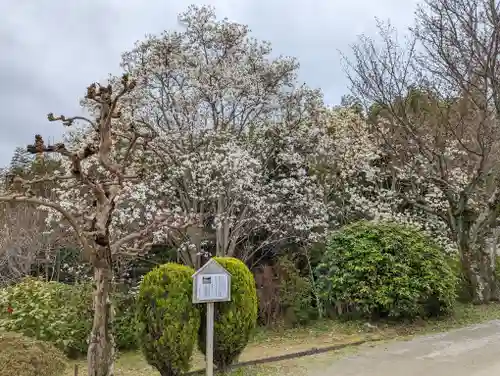 正法寺(京都府)