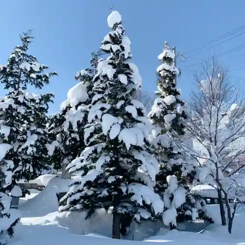 仁玄寺の自然