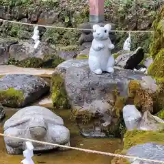 出雲大神宮の狛犬