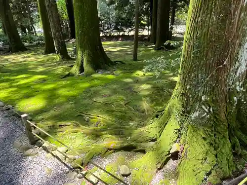 都農神社の自然