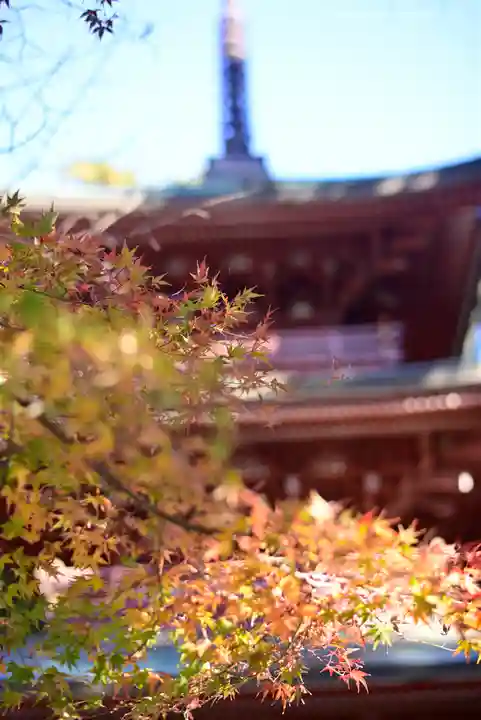 目の霊山 油山寺(静岡県)