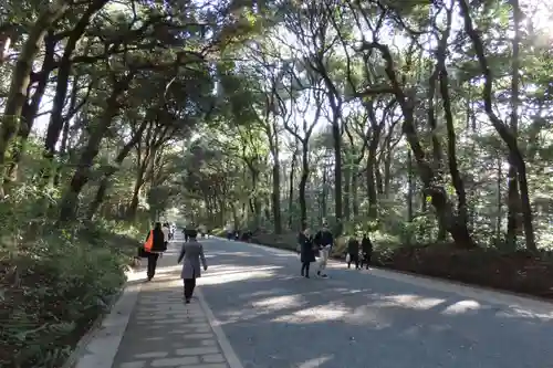 明治神宮(東京都)