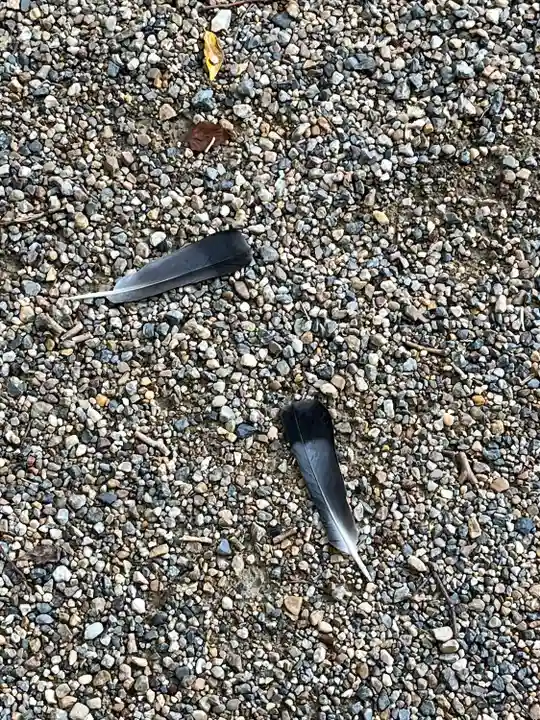 伊和志津神社(兵庫県)