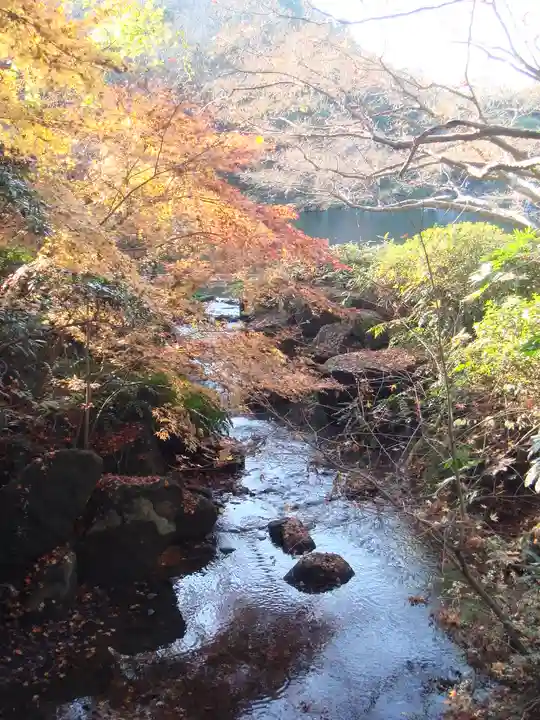 成田山新勝寺の自然