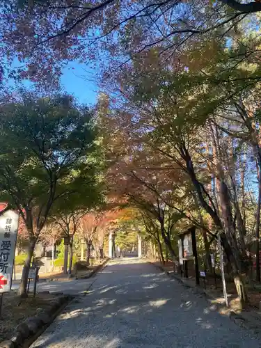 身曾岐神社(山梨県)