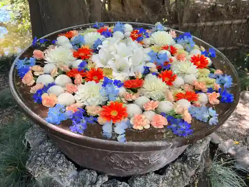 武蔵一宮氷川神社(埼玉県)