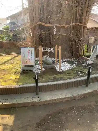 鶴嶺八幡宮の自然