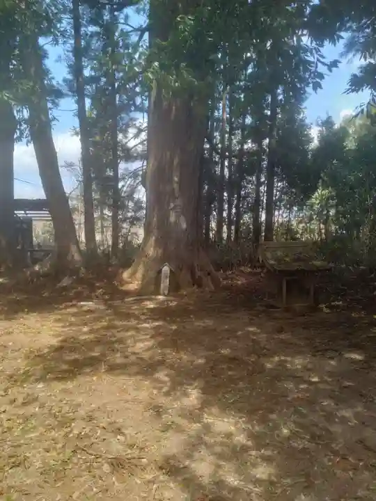 光明院(宮城県)