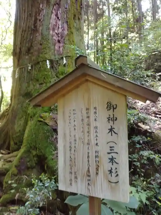 花園神社(茨城県)