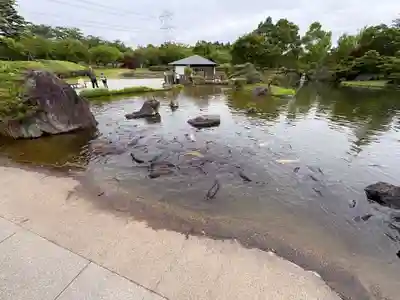 東本願寺本廟 牛久浄苑(牛久大仏)(茨城県)