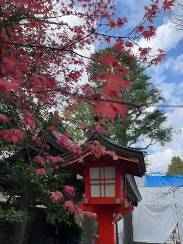 馬橋稲荷神社の自然