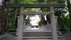 千歳神社の鳥居