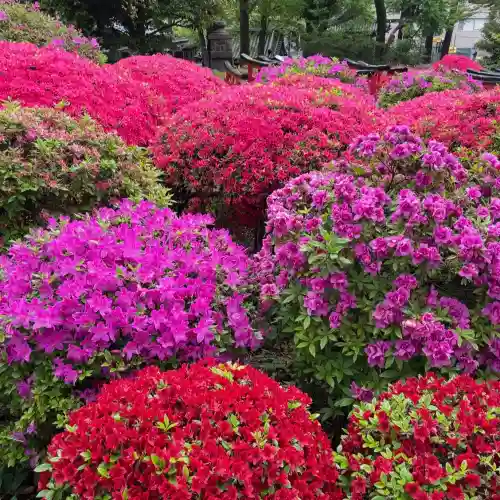 根津神社(東京都)