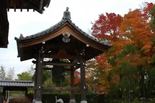 源光庵の建物その他