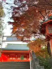 萬年山宝輪寺(東京都)