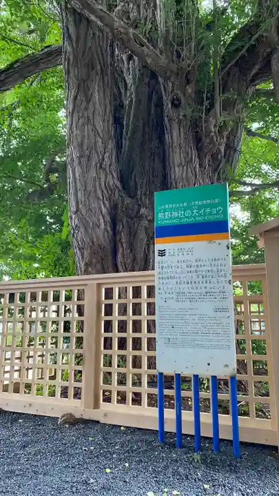 熊野大社(山形県)