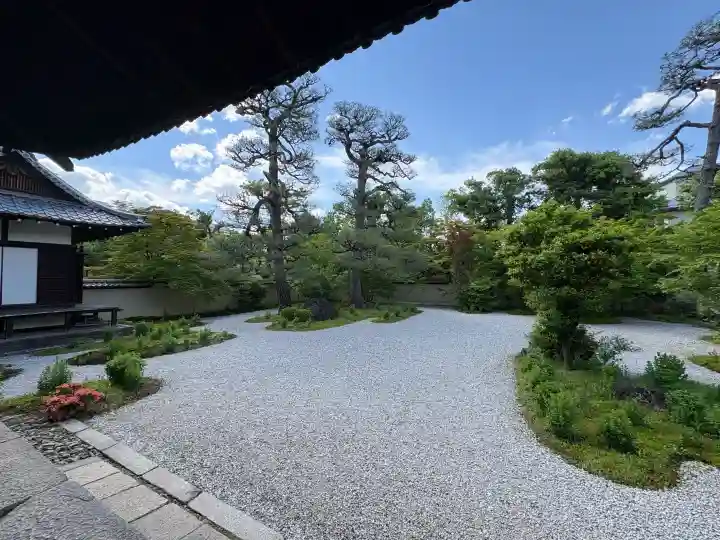 廬山寺(廬山天台講寺)の{uncategorized: "未分類", other: "その他", undefined: "問題あり", building: "その他建物", grave: "お墓", sacred_gate: "鳥居", guardian: "狛犬", statue: "像", buddha: "仏像", history: "歴史", nature: "自然", garden: "庭園", animal: "動物", pagoda: "塔", temizu: "手水舎", mountain_gate: "山門・神門", sanctuary: "本殿・本堂", subordinate: "末社・摂社", art: "芸術", scenery: "景色", jizo: "地蔵", ema: "絵馬", goshuin: "御朱印", omikuji: "おみくじ", items: "授与品その他", amulet: "お守り", goshuincho: "御朱印帳", eats: "食事", festival: "お祭り", votive_dance: "神楽", shichigosan: "七五三参", wedding: "結婚式", experience: "体験その他", initially: "初詣", around: "周辺", anti_infection: "感染症対策"}