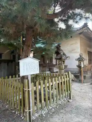 安久美神戸神明社(愛知県)