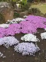 伏木香取神社の自然