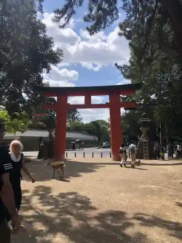 春日大社の御朱印