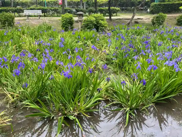 知立神社(愛知県)